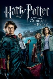 Harry Potter and the Goblet of FireFull Movie Download Free Full Movie Free High Speed Download. SD Movies Point.