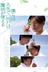 僕らは人生で一回だけ魔法が使えるFull Movie Download Free Full Movie Free High Speed Download. SD Movies Point.